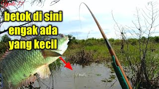 IKAN BETOK DI SINI ENGAK ADA YANG KECIL MANCING BETOK BESAR