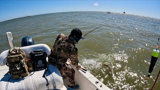 The easiest way to catch your limit on SHEEPSHEAD @ Freeport Surfside Jetties.