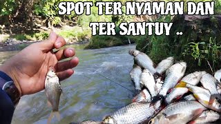 SPOT TERNYAMAN DAN TER ADEM UNTUK MANCING IKAN TAWES ‼️ MANCING IKAN TAWES DAERAH BANGIL