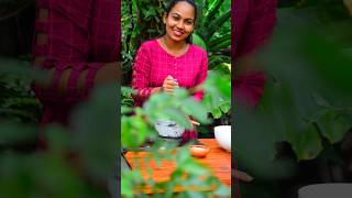 Have you ever tried Jackfruits seeds Rotti  🥵 🤤 පිටි නැතුව කොස් ඇට වලින් රොටි හදමු! #shorts