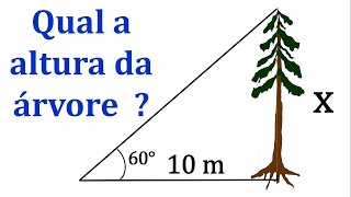 Trigonometria - Razões Trigonométricas no Triângulo Retângulo