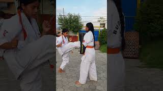 Budokaido training