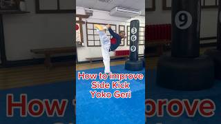 Do this to train your side kick