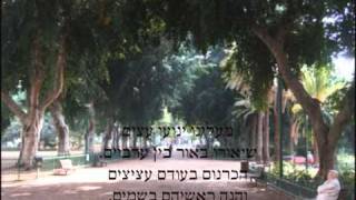 גן מאיר בתל אביב - חנן יובל