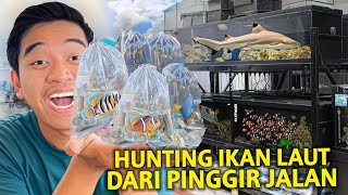 BELI IKAN LAUT DI PINGGIR JALAN KOTA YOGYAKARTA! NEMU IKAN HIU DAN HEWAN LAUT ANEH DISINI!