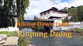 Hiking Down From Rinpung Dzong to Lunch