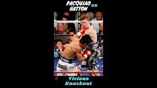 Ultra Slow mo: Vicious Knockout I Pacquiao vs Hatton I Boxing Tutorial #shorts