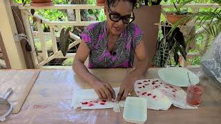 How to Collect Seeds From Strawberry Fruits