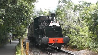 Willy The Well Tank at the Avon Valley Railway - Sunday 30th July 2017