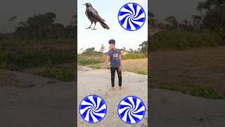 14 November 2024crow, pigeon, parrot & peacock- Birds names magic #shorts #short