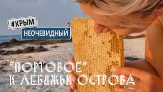 #КрымНеОчевидный: Портовое. Пляжи северного Крыма. Лебяжьи острова и множество птиц. Мед в сотах.