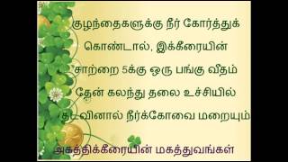 அகத்திக்கீரையின் மகத்துவங்கள் Agathikirai