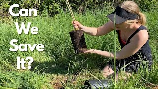 The Beginning Of The FOOD FOREST | Planting On The Hugelkulture, Herbgarden And Gardenbed