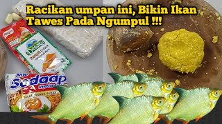 Cara Membuat Umpan Racikan Ikan Tawes