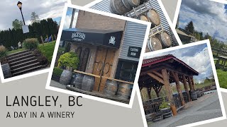 Touring in Langley, BC, Canada 🍷A day in a Winery #walkingtour #youtube #vacation #weekend #travel