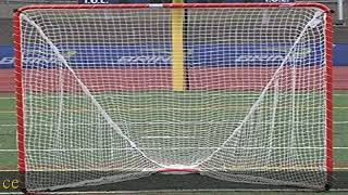 Brine Backyard Lacrosse Goal (Net Included), 6 x 6 x 7-Feet