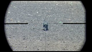 Baboon on 130m