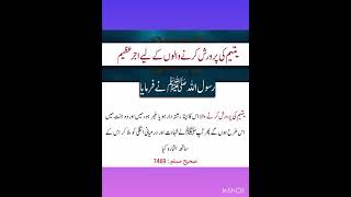 یتیم کی خدمت اور کفالت کرنے کے بارے میں رسول اللہ صلی اللہ علیہ وسلم کا فرمان #ytshorts #islamicquo