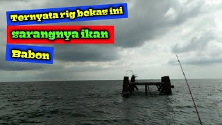 GA NYANGKA....!!! ternyata di rig mati ini banyak ikan babon II part #2