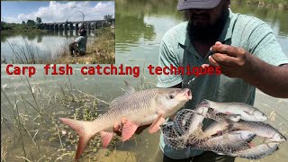 Fishing | carp fishing | rohu fishes catching techniques | रहु मछली का शिकार | #fishing #village