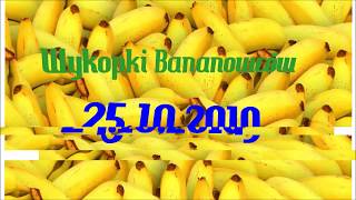 58.🌴🍌Wykopki Bananowców🍂Bananowce w Polsce Banany🍁25.10.2019🍌🌴