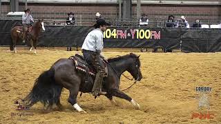 2024 Cattlemens Derby and Classic 5/6 Yo Open Champions