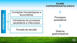 INDIGESTÃO VAGAL DE BOVINOS: Exames complementares