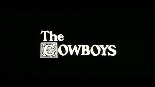 Antonio Vivaldi - Concerto in D major RV 93: II. Largo (The Cowboys)