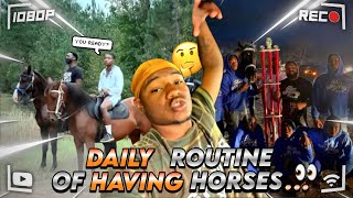 ROUTINE OF HAVING HORSES WITH QUAN