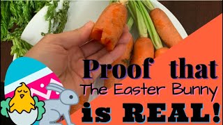 Colorado Kindergarten Teacher Found Proof the Easter Bunny is Real!