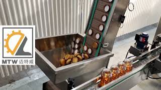 MTW   Honey filling line 2024