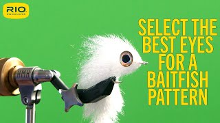 Select The Best Eyes For  A Baitfish Pattern