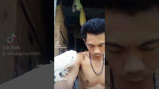 Burung kipas jinak kesayangan