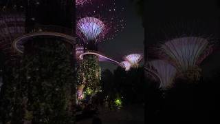 Cloud Forest | Flower Dome | Supertree Grove | Singapore Tourism #singapore #tourism