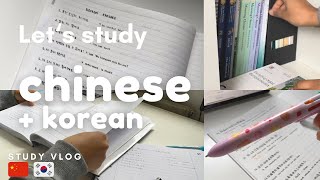 Self studying Chinese and Korean | 🇨🇳🇰🇷 | how I practice speaking Korean | study vlog