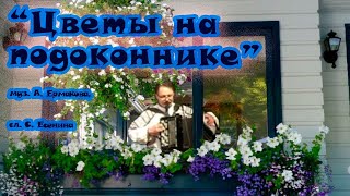 Цветы на подоконнике 🎶 песня на стихи С. Есенина