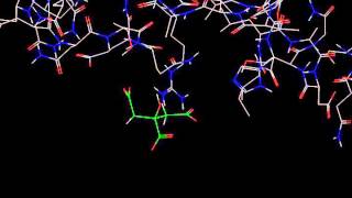 Failed Ligand Docking Simulation