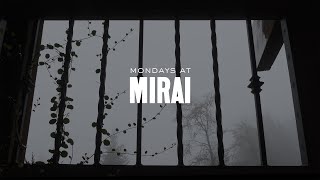 Mondays at Mirai: Repotting in the Rain