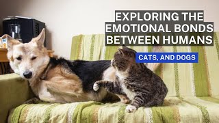 Pets as Family: Exploring the Emotional Bonds Between Humans, Cats, and Dogs