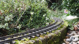 The Last Days of the Sandwell Valley Railway