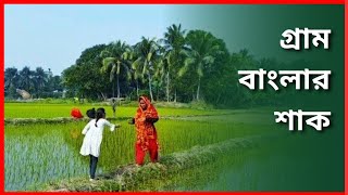 গ্রাম বাংলার এই শীতের সবজি Bangladesh Alo Daily Sky