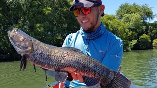 Dia 2 pescando Tornasoles en Tacuarembó Uruguay | Pesca Tarariras Uruguay