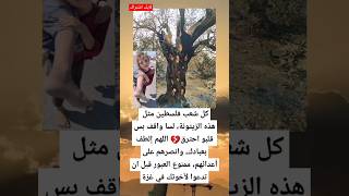 كل شعب فلسطين مثل هذه الزيتونة، لسا واقف بس قلبو احترق💔 اللهم إلطف بعبادك،