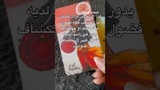 القراءة الكاملة 👆💗🕊️ #ابراج_اليوم #tarot #اكسبلور #ابراج #tarotreading