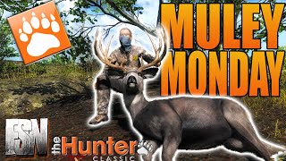 INSANELY Adventurous Return to theHunter Classic!