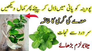 Pudina Ke Pani Ke Fayde || Benefits Of Mint Water || Pudina Ka Pani Kaise Banaen || Pudina Sharbat