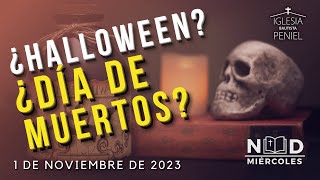 ¿Debemos celebrar HALLOWEEN o DIA DE MUERTOS? | NDM | 1/11/2023 #halloween #diademuertos