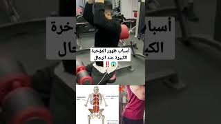 أسباب ظهور المؤخرة الكبيرة عند معظم الرجال 😱‼️