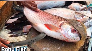 Experienced Worker Big Rohu Fish Cutting With Knife; Fish Cutting Skills Bangladesh