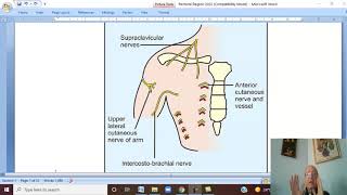 Musculo-skeletal Module I in Arabic 45 ( Pectoral region) , by Dr. Wahdan 2022